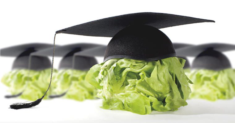 Heads of lettuce adorned with graduation caps