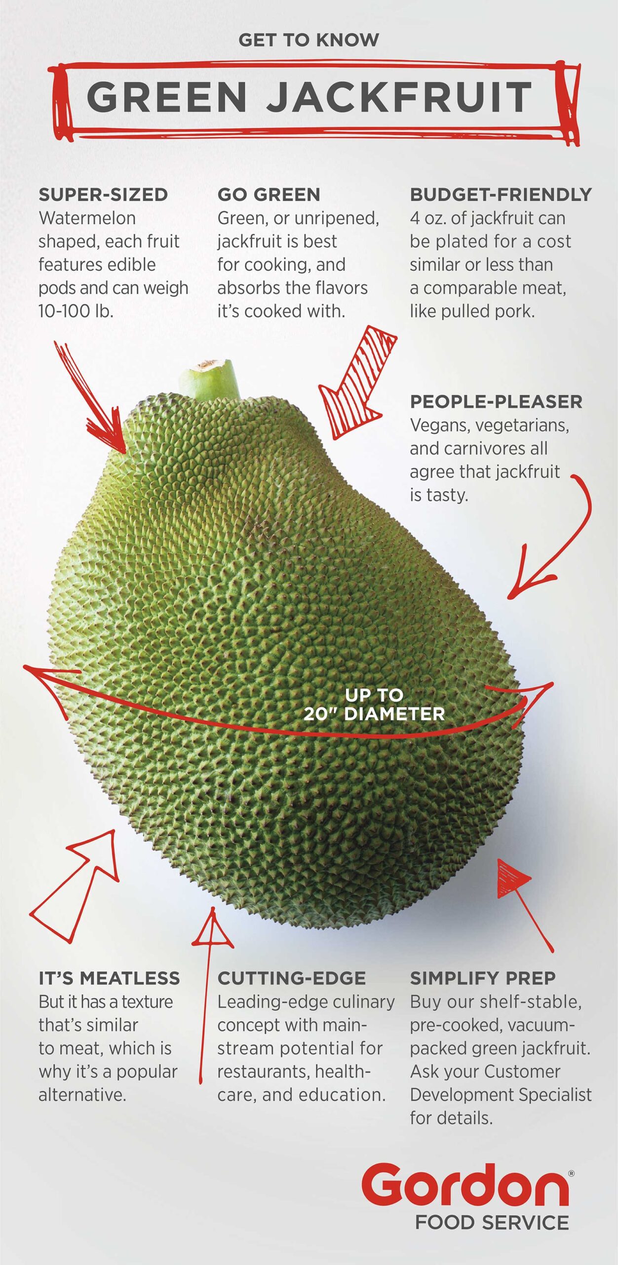 Infographic about Jackfruit
