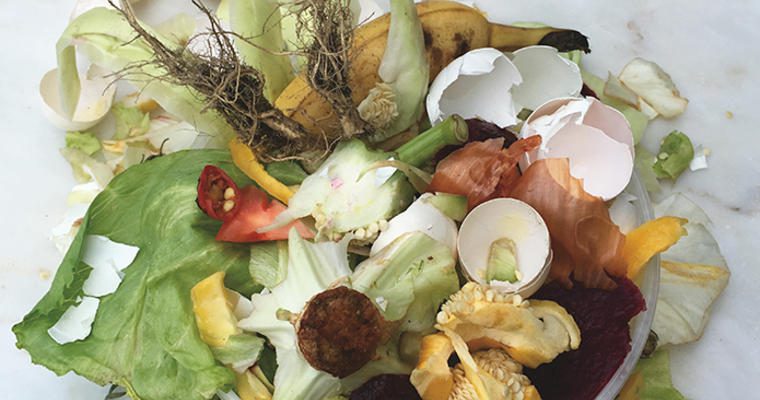 Egg shells and lettuce leaves food waste