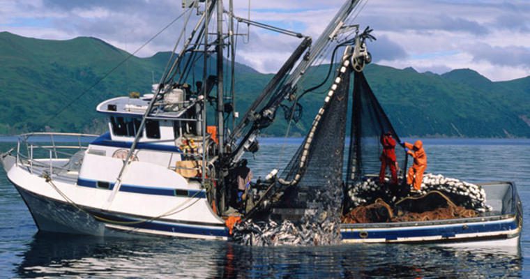 Commercial fishing boat using large net to catch fish