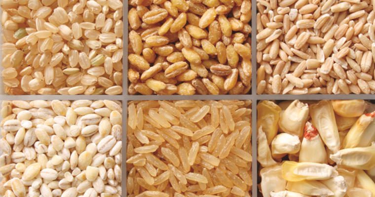 Different types of gluten grains