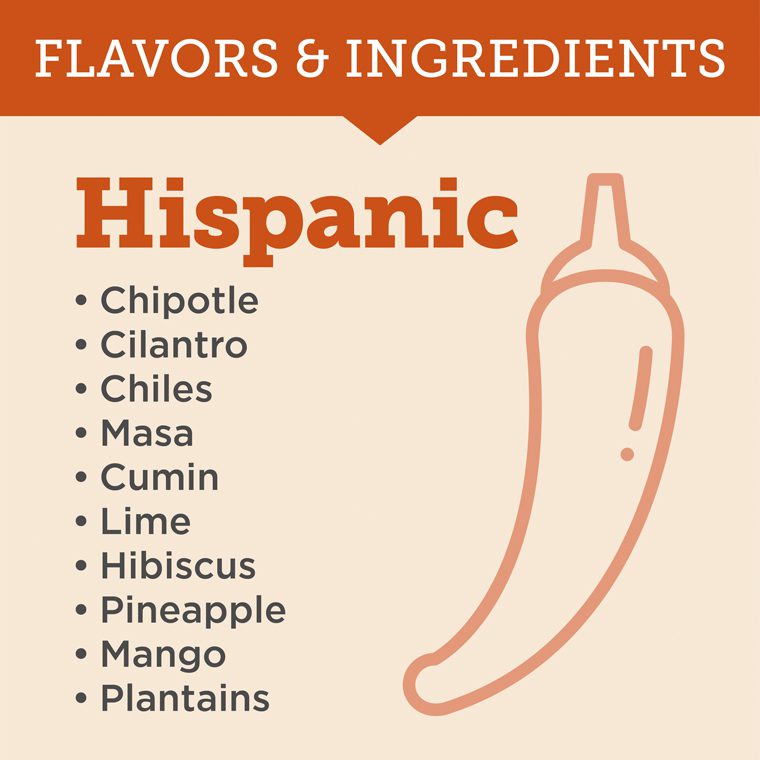 Hispanic Flavors Infographic