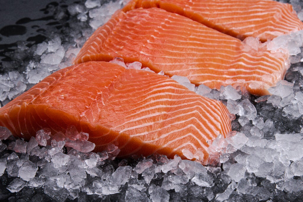 two salmon fillets sitting on top of ice.